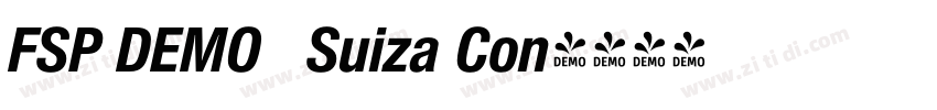 FSP DEMO   Suiza Con字体转换